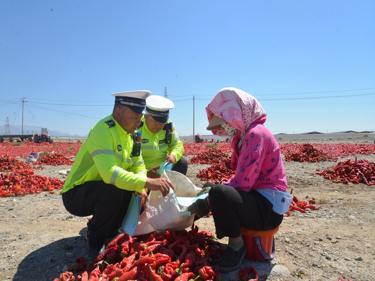 图为8月10日,民警走进辣椒晒场开展面对面宣讲交通安全。.JPG