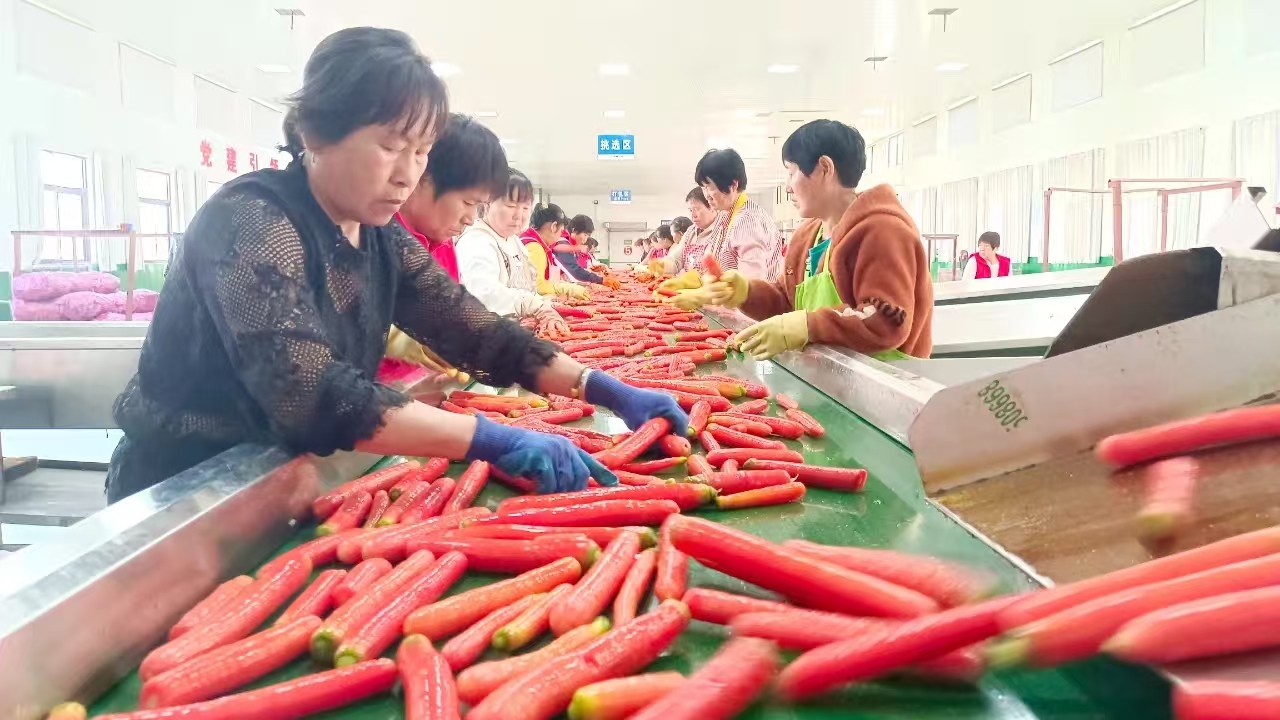 微信图片_20250923141438_120_4.jpg